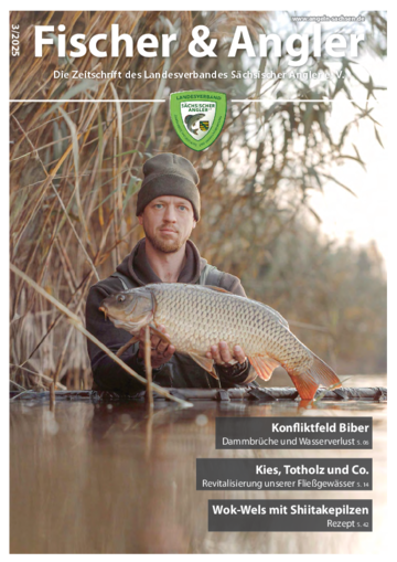 Fischer & Angler 3/25